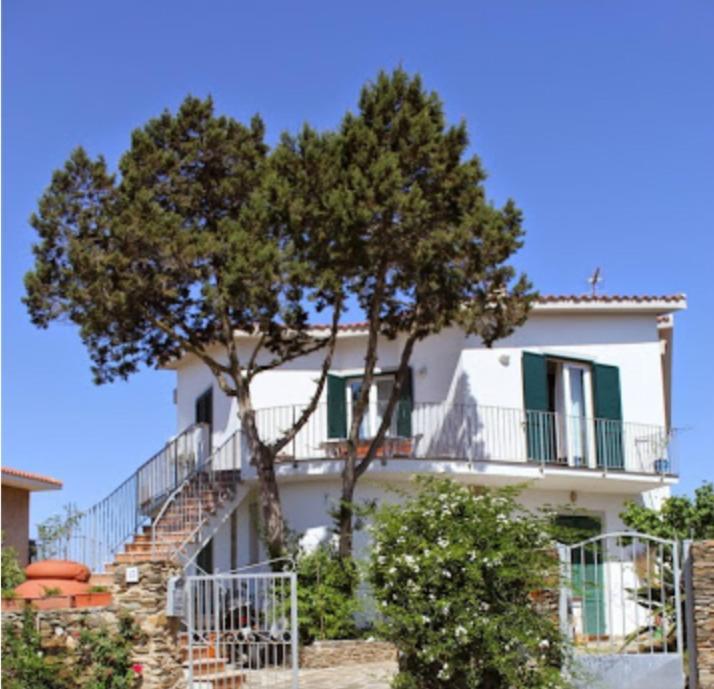 Il Ginepro Di Stintino Bed & Breakfast Eksteriør bilde